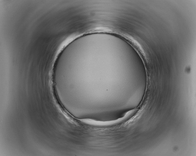 X0000098211373200805221618