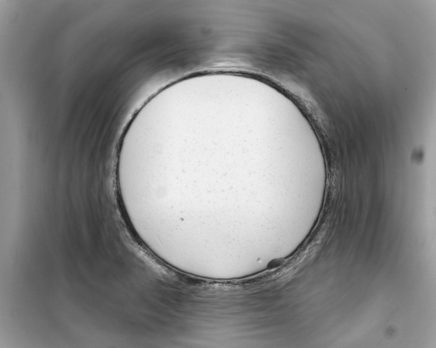 X0000098211374200805221618