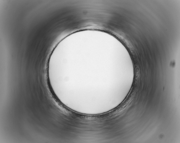 X0000098211375200805221618