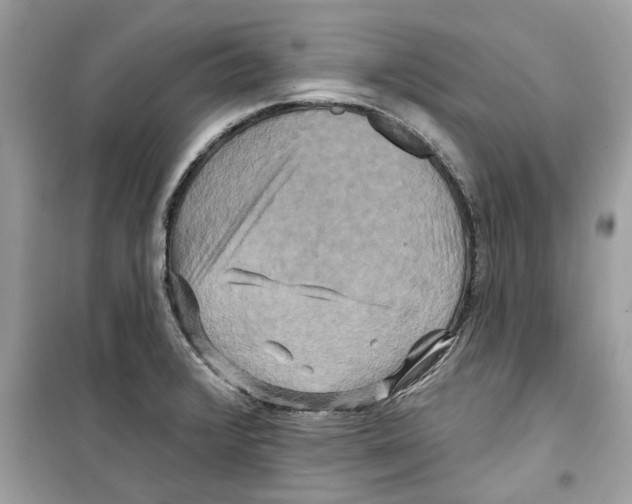 X0000098211376200805221618
