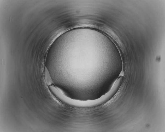 X0000098211377200805221618