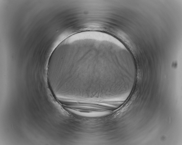 X0000098211378200805221618