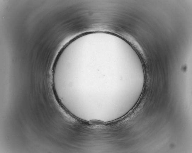X0000098211380200805221618