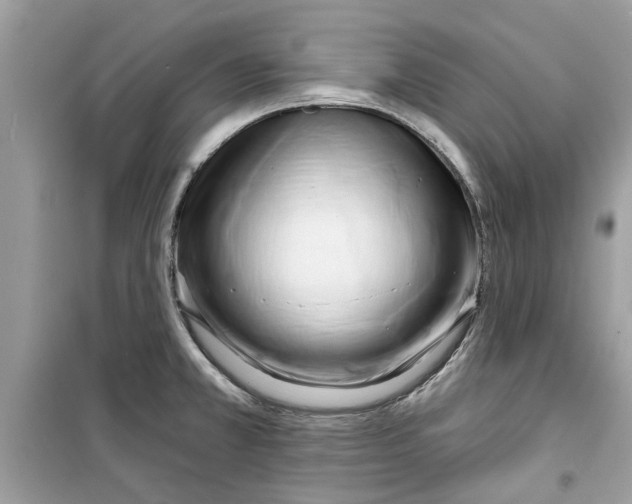X0000098211381200805221618