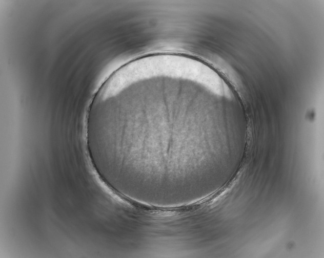 X0000098211382200805221618