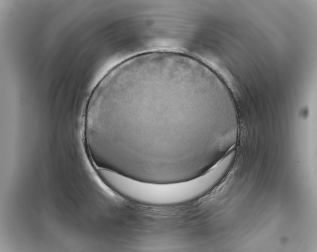 X0000098211383200805221618