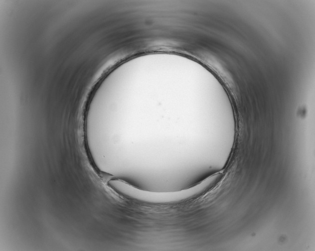 X0000098211384200805221618