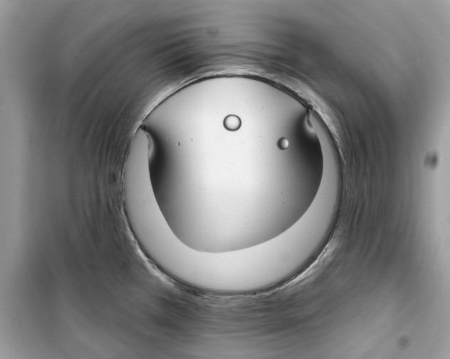 X0000098211385200805221618