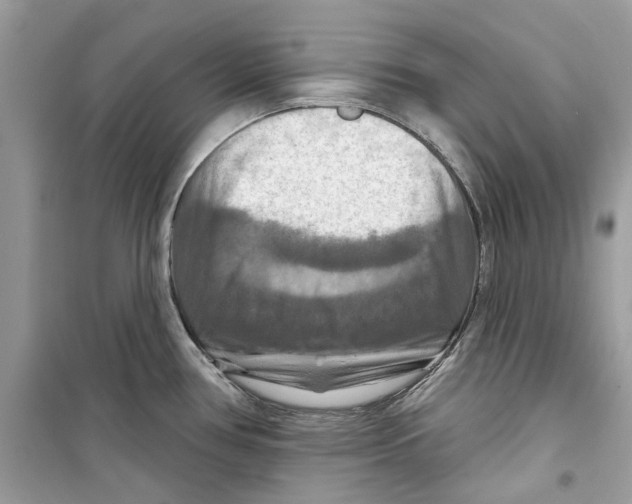 X0000098211386200805221618