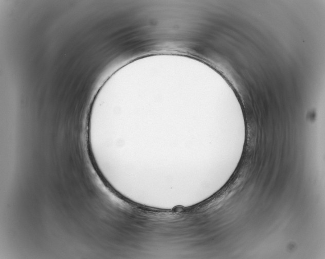 X0000098211387200805221618