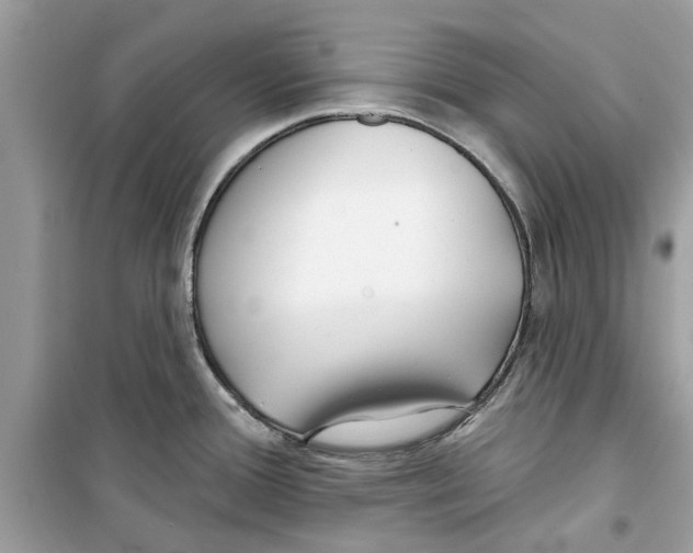 X0000098211388200805221618