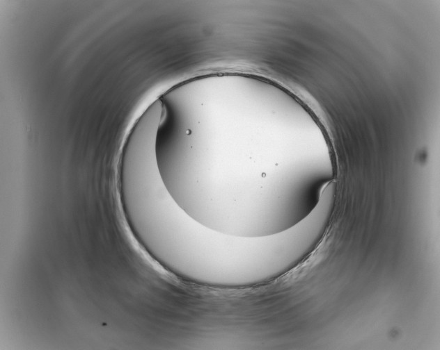 X0000098211389200805221618