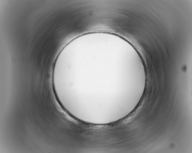 X0000098211390200805221618