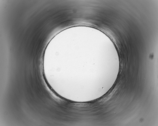 X0000098211391200805221618