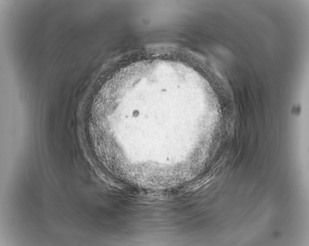 X0000098211393200805221617
