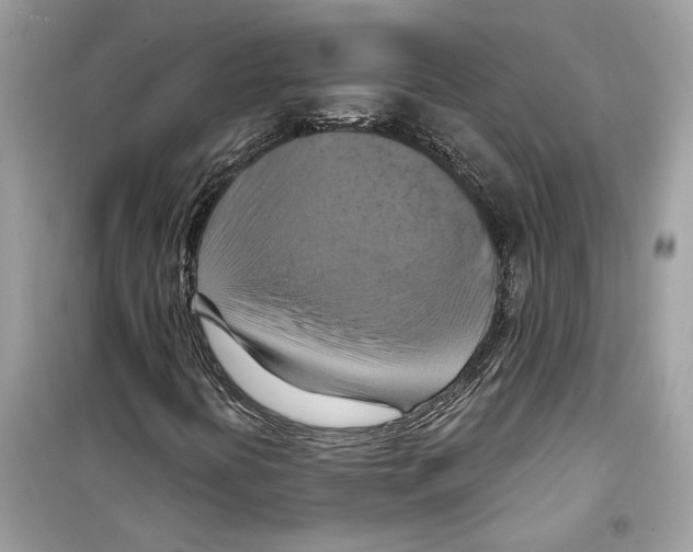 X0000098211394200805221617