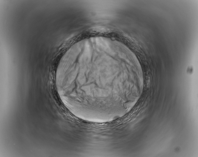 X0000098211397200805221617