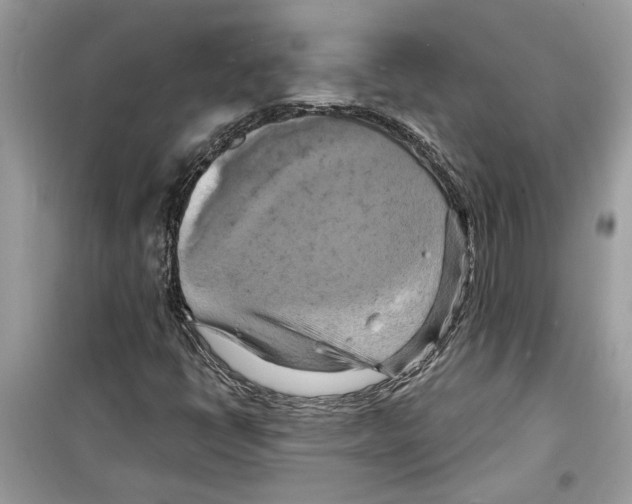 X0000098211398200805221617