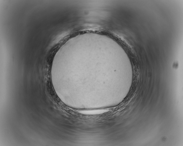 X0000098211399200805221617