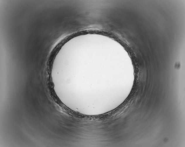 X0000098211400200805221617