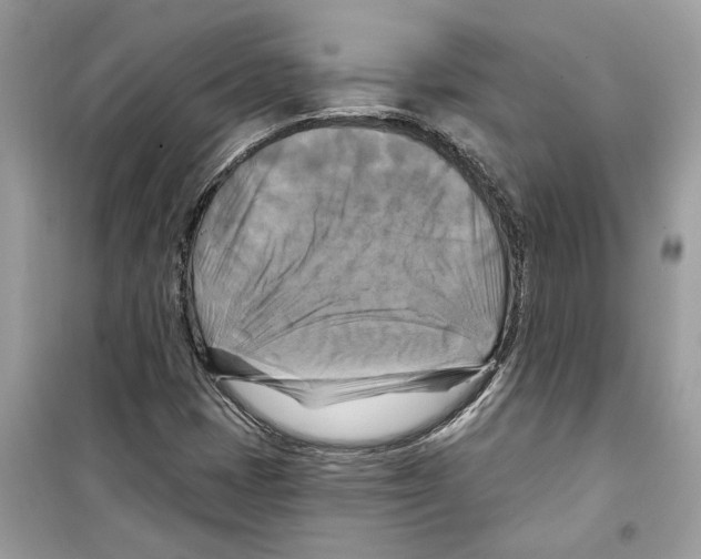 X0000098211401200805221617