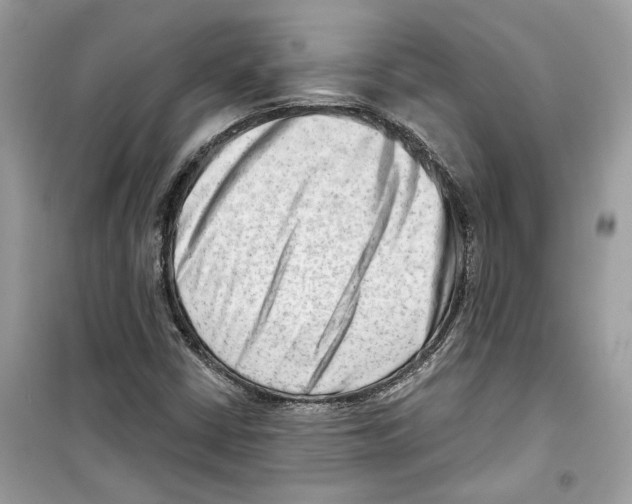X0000098211402200805221617