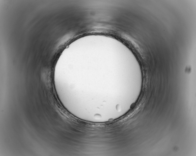 X0000098211403200805221617