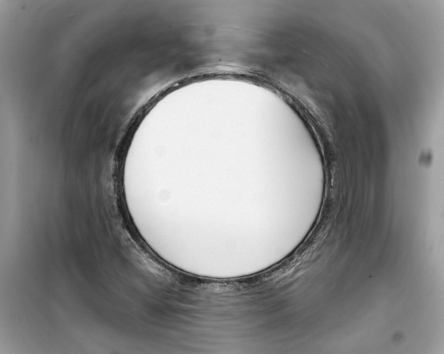 X0000098211404200805221617