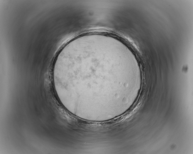 X0000098211405200805221617
