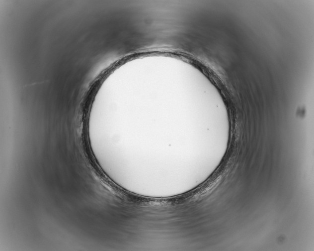 X0000098211406200805221617