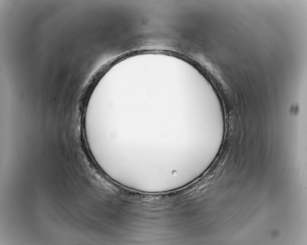 X0000098211408200805221617