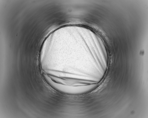X0000098211409200805221617