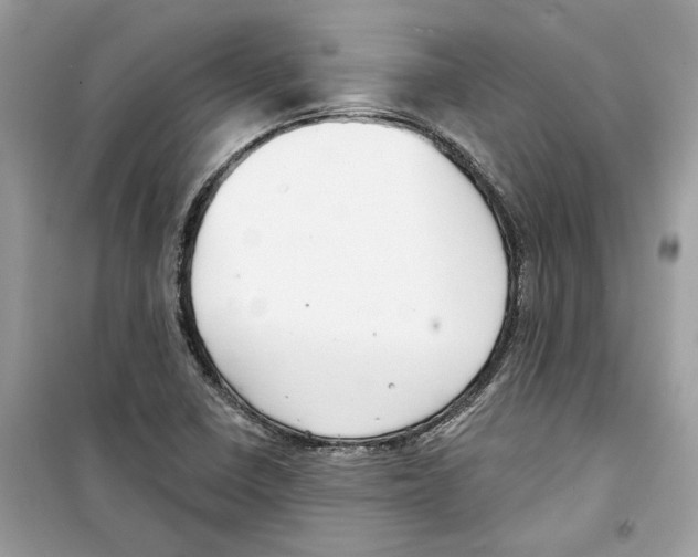 X0000098211410200805221617