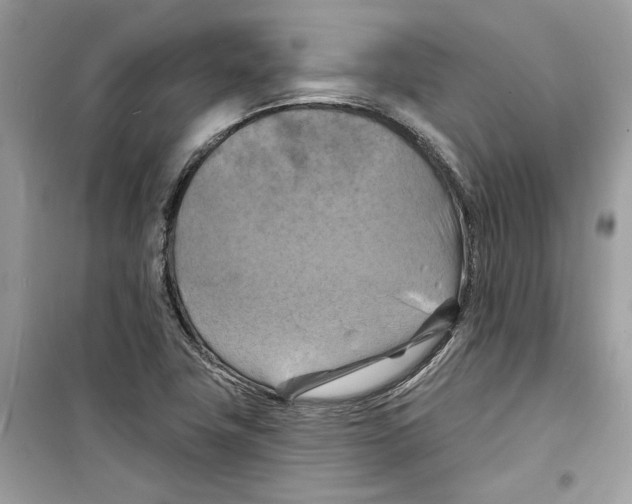 X0000098211411200805221617