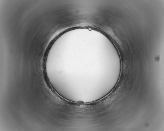 X0000098211412200805221617