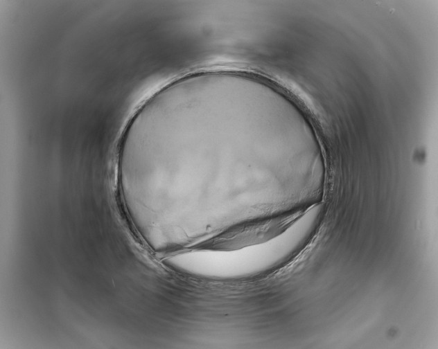 X0000098211413200805221617