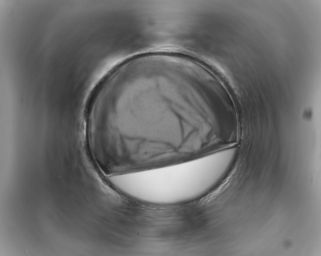 X0000098211414200805221617