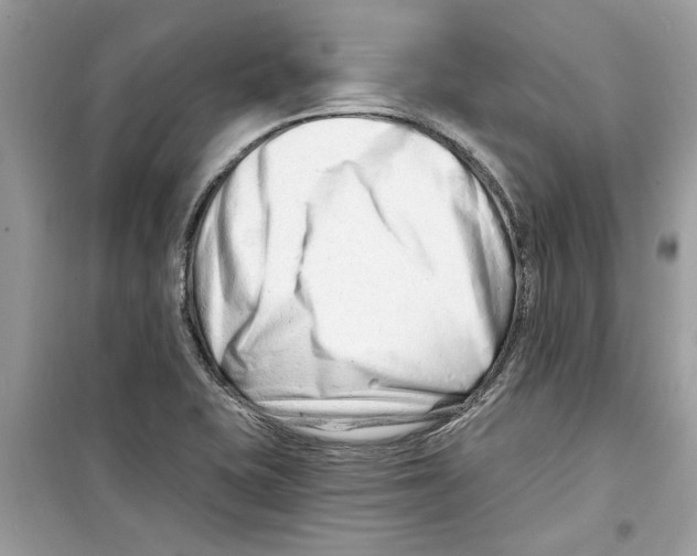 X0000098211415200805221617