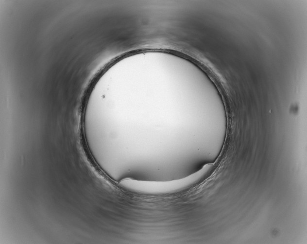 X0000098211416200805221617