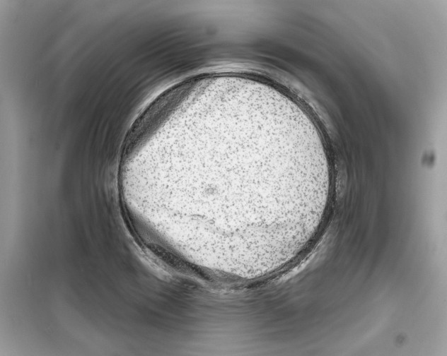 X0000098211417200805221617