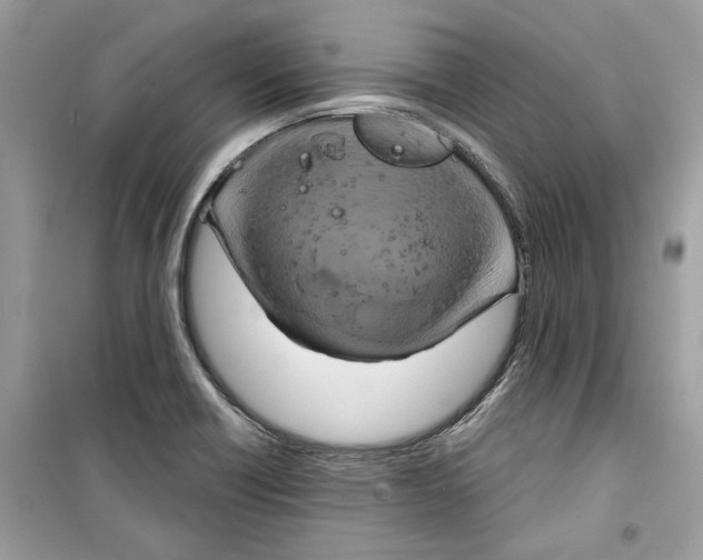 X0000098211418200805221617