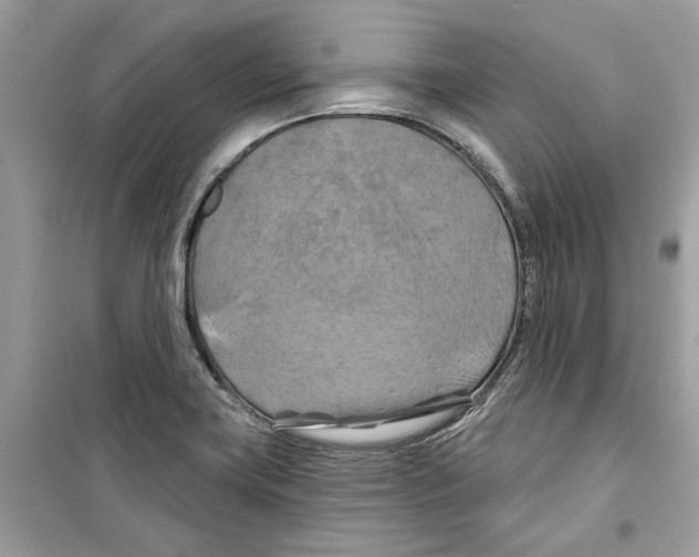 X0000098211419200805221617