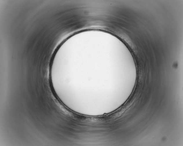 X0000098211420200805221617