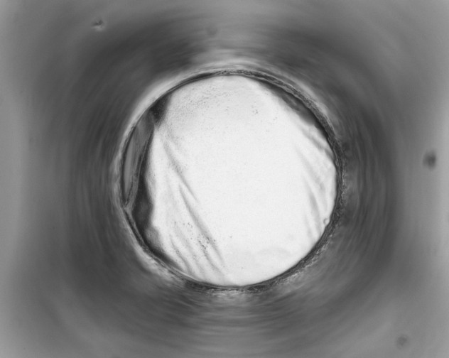 X0000098211421200805221617