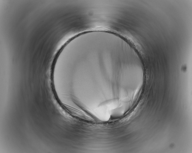 X0000098211422200805221617