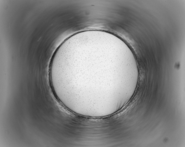 X0000098211423200805221617