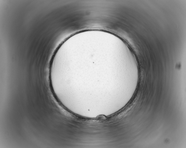 X0000098211424200805221617