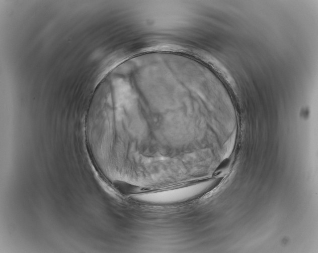 X0000098211425200805221617