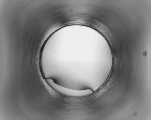 X0000098211426200805221617