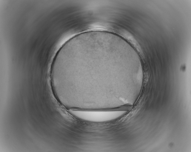 X0000098211427200805221617